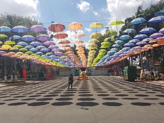 Attractiepark Đầm Sen